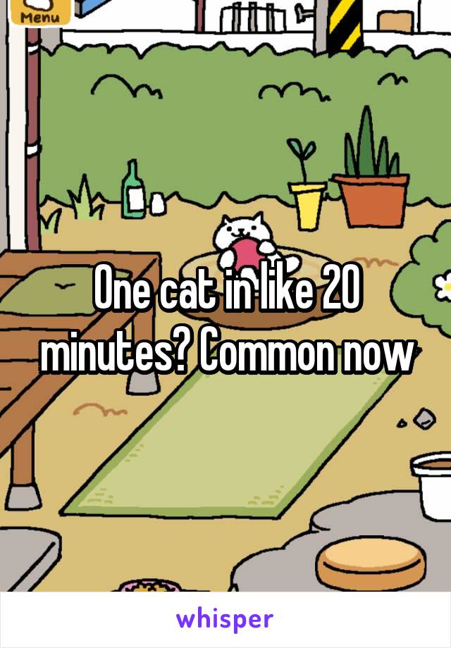 One cat in like 20 minutes? Common now