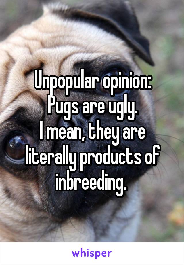 Unpopular opinion:
Pugs are ugly.
I mean, they are literally products of inbreeding. 