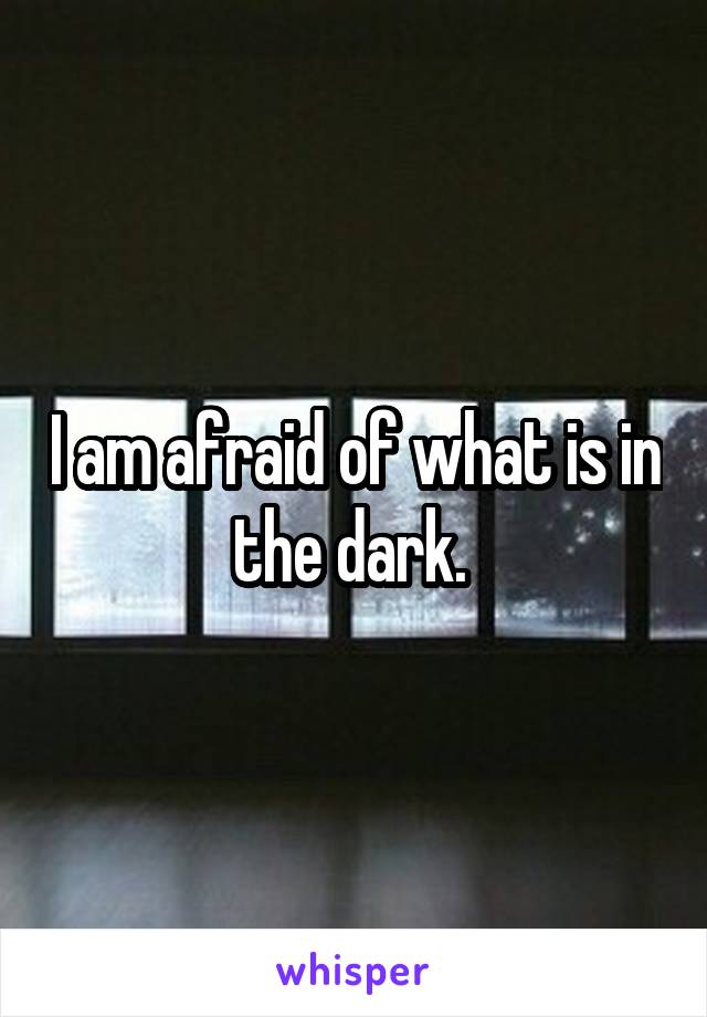 I am afraid of what is in the dark. 
