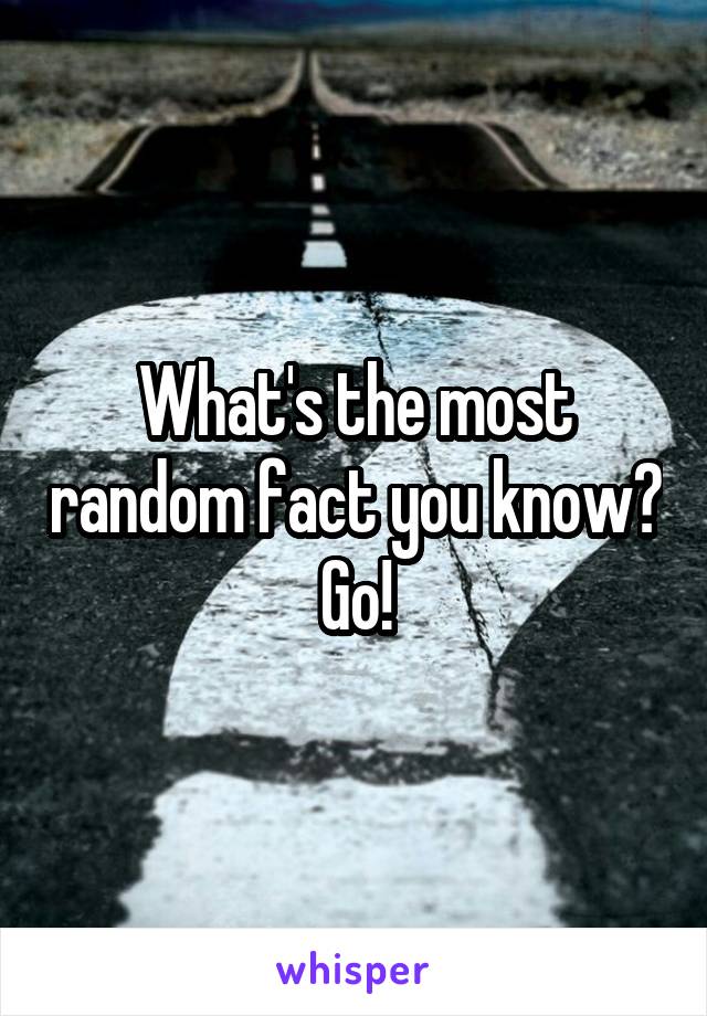 What's the most random fact you know?
Go!