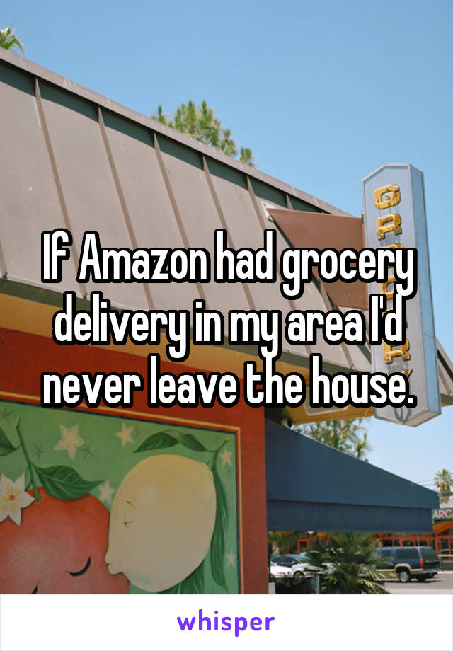 If Amazon had grocery delivery in my area I'd never leave the house.