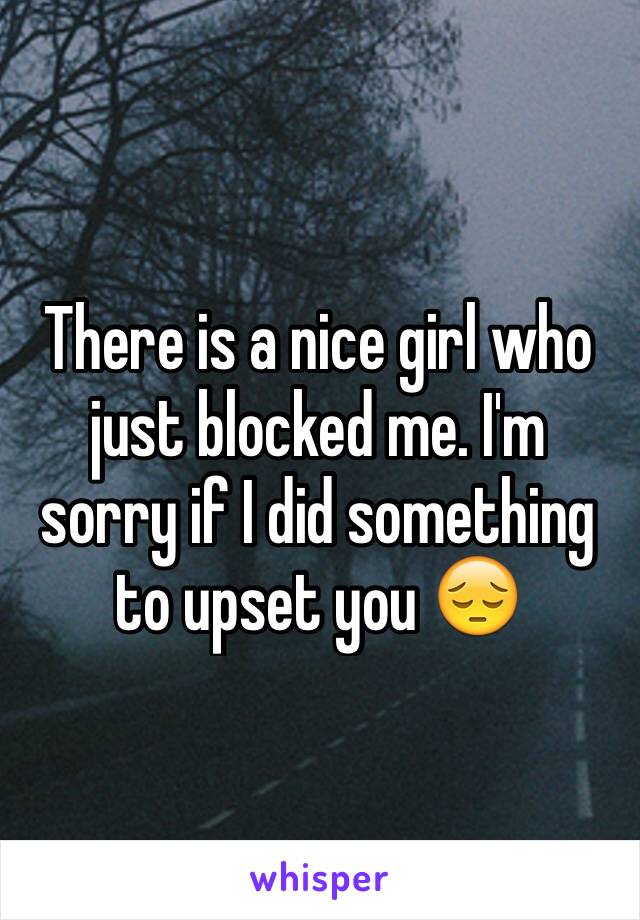There is a nice girl who just blocked me. I'm sorry if I did something to upset you 😔