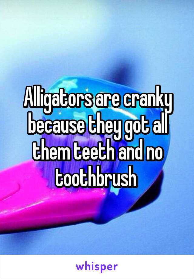 Alligators are cranky because they got all them teeth and no toothbrush 