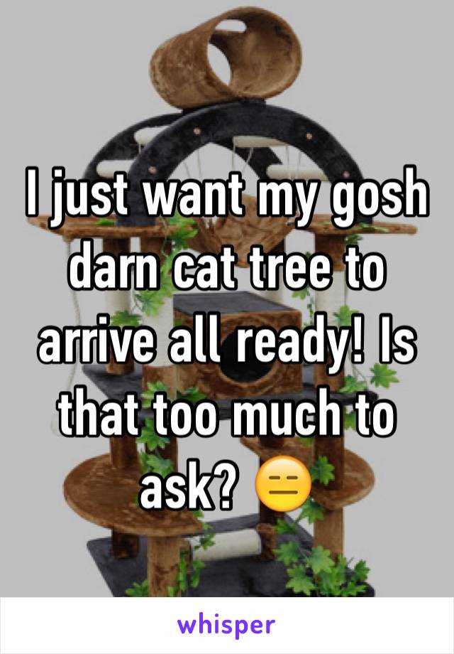 I just want my gosh darn cat tree to arrive all ready! Is that too much to ask? 😑