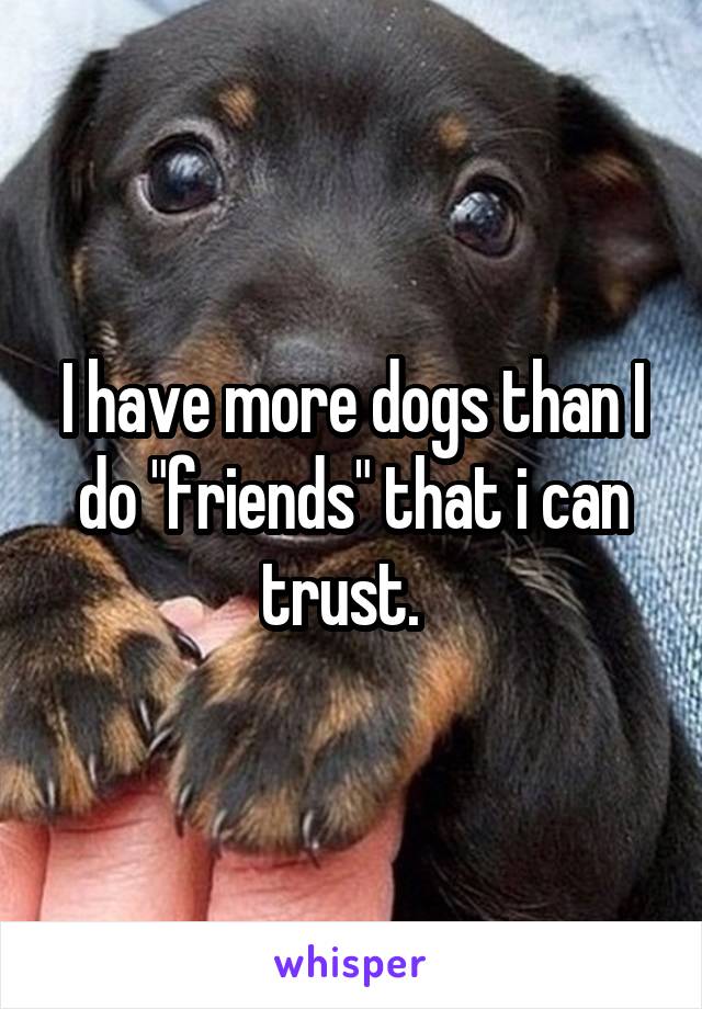 I have more dogs than I do "friends" that i can trust.  