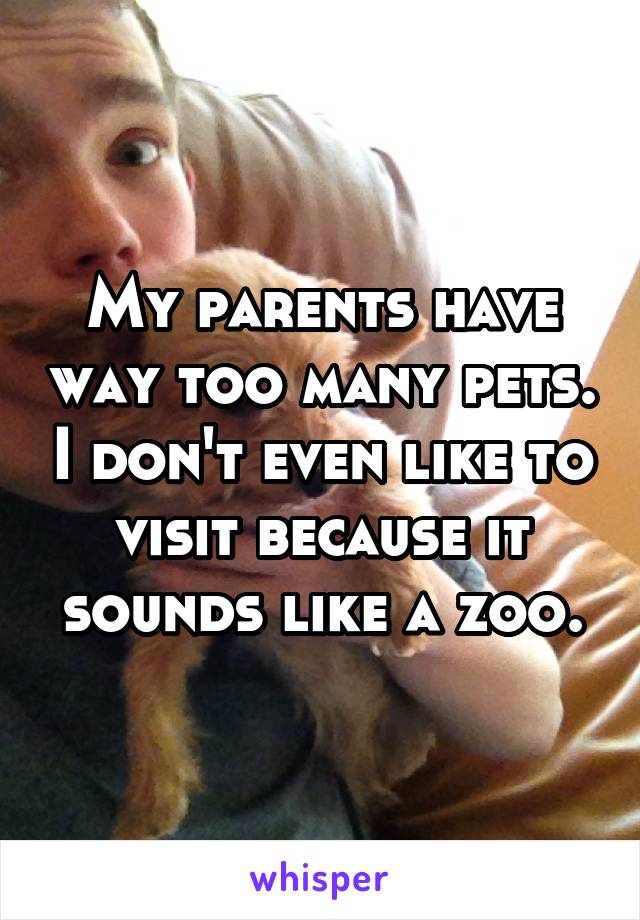 My parents have way too many pets. I don't even like to visit because it sounds like a zoo.