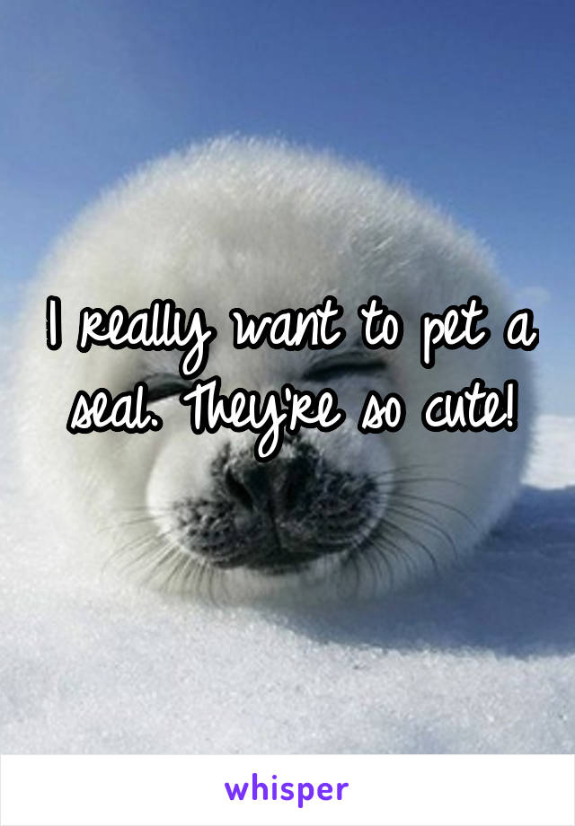 I really want to pet a seal. They're so cute!
