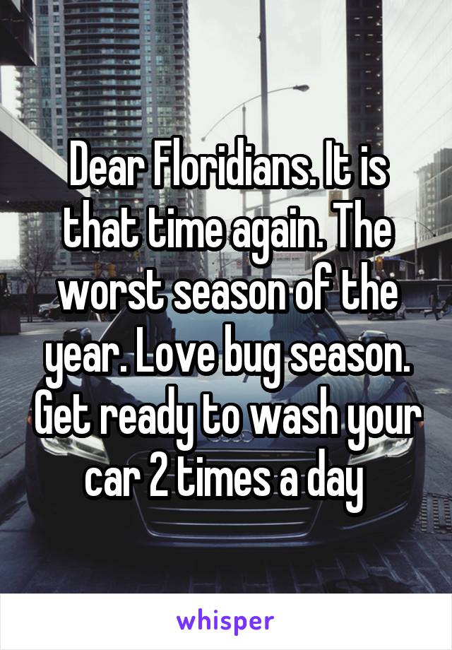 Dear Floridians. It is that time again. The worst season of the year. Love bug season. Get ready to wash your car 2 times a day 