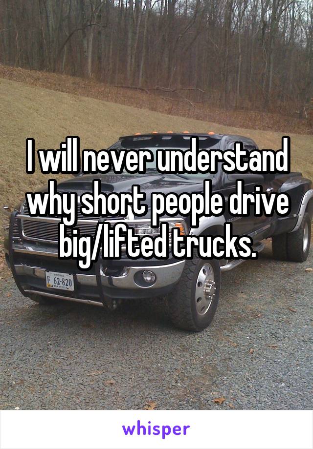 I will never understand why short people drive big/lifted trucks.
