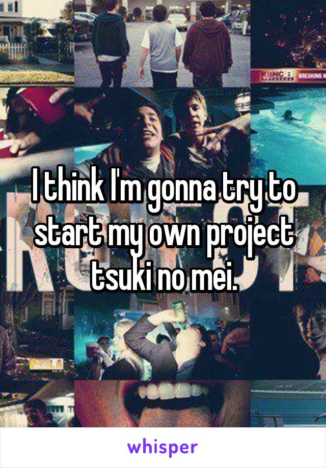 I think I'm gonna try to start my own project tsuki no mei.