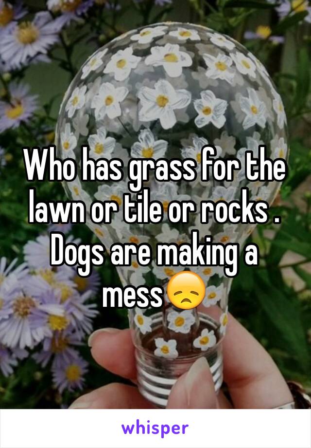 Who has grass for the lawn or tile or rocks . Dogs are making a mess😞