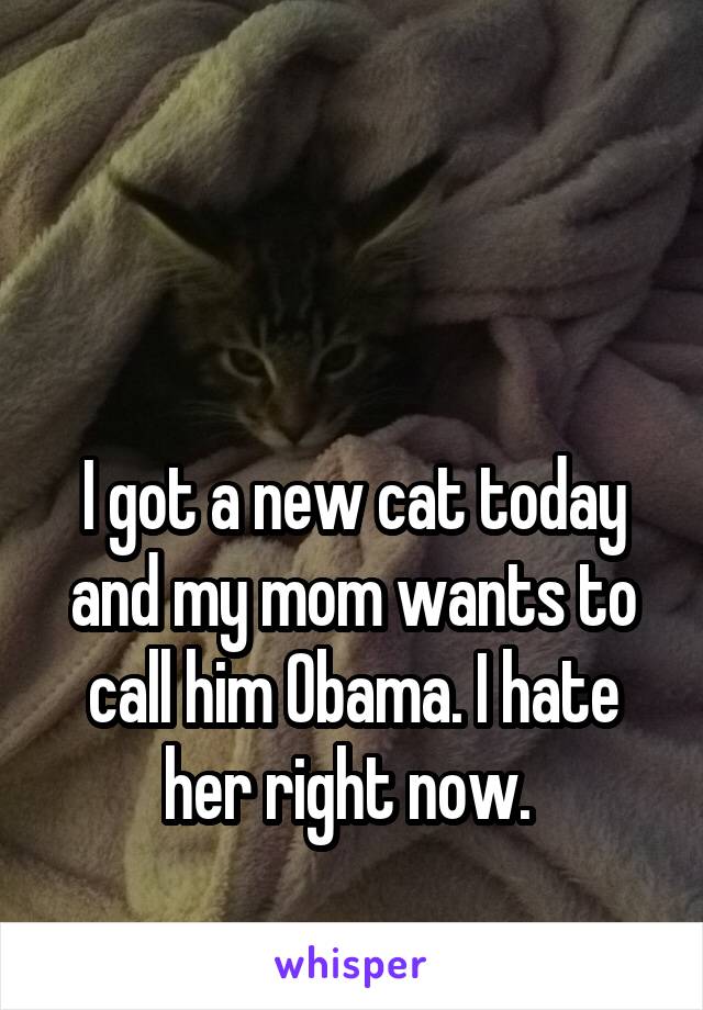 


I got a new cat today and my mom wants to call him Obama. I hate her right now. 