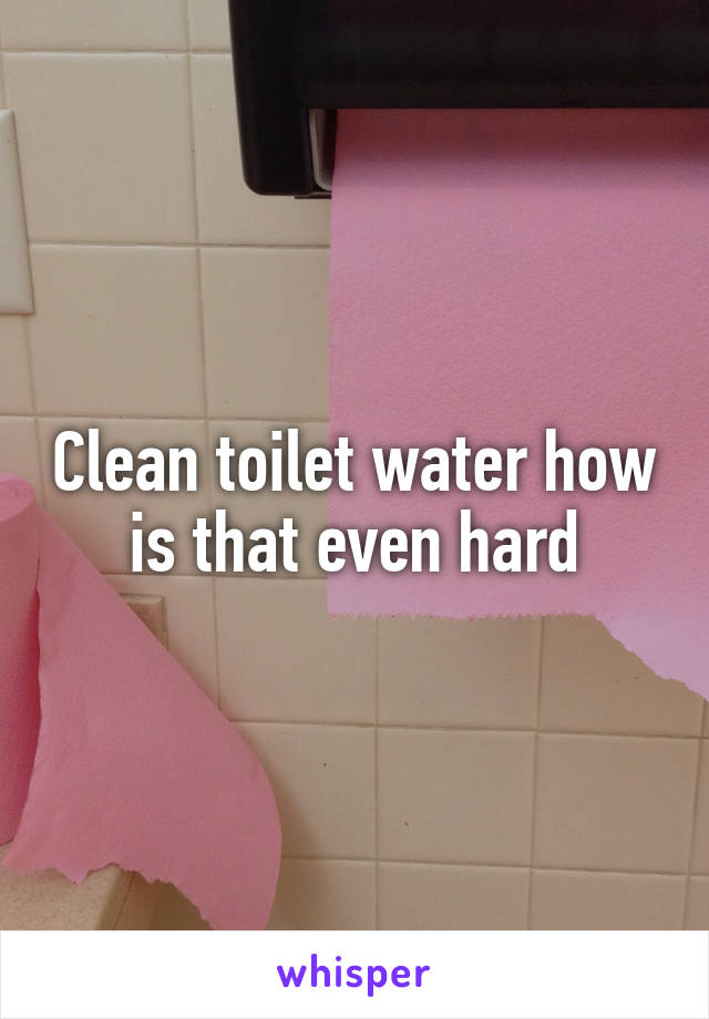 Clean toilet water how is that even hard