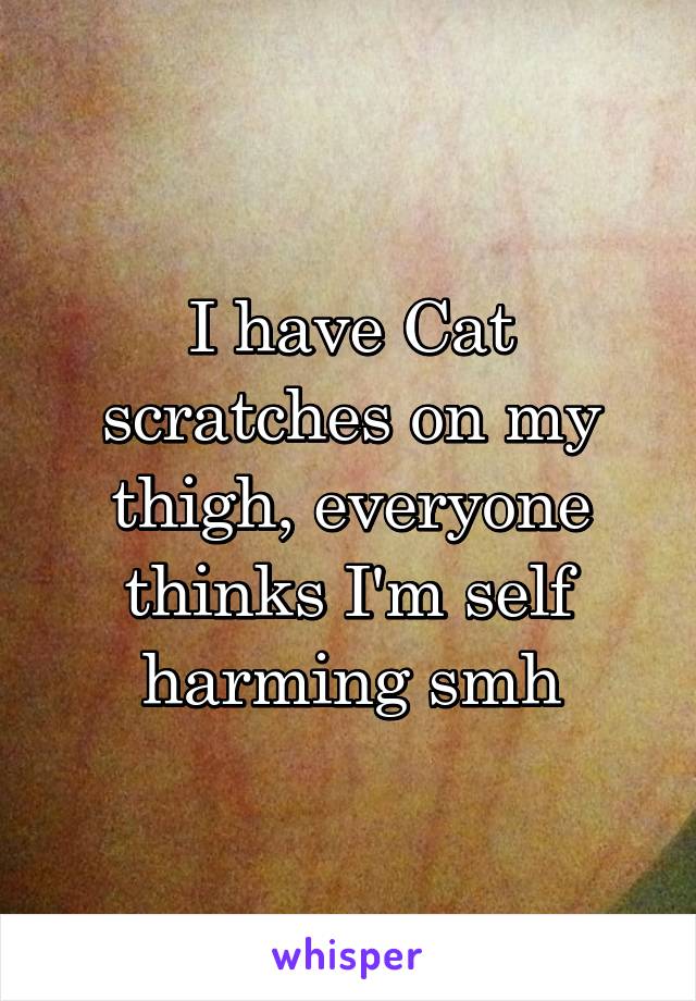 I have Cat scratches on my thigh, everyone thinks I'm self harming smh