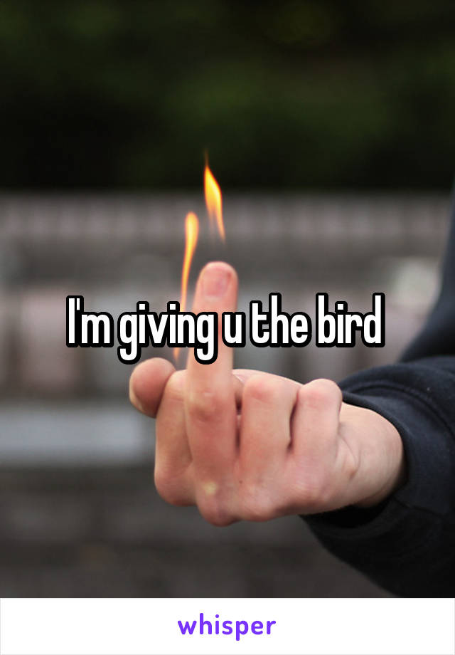 I'm giving u the bird 