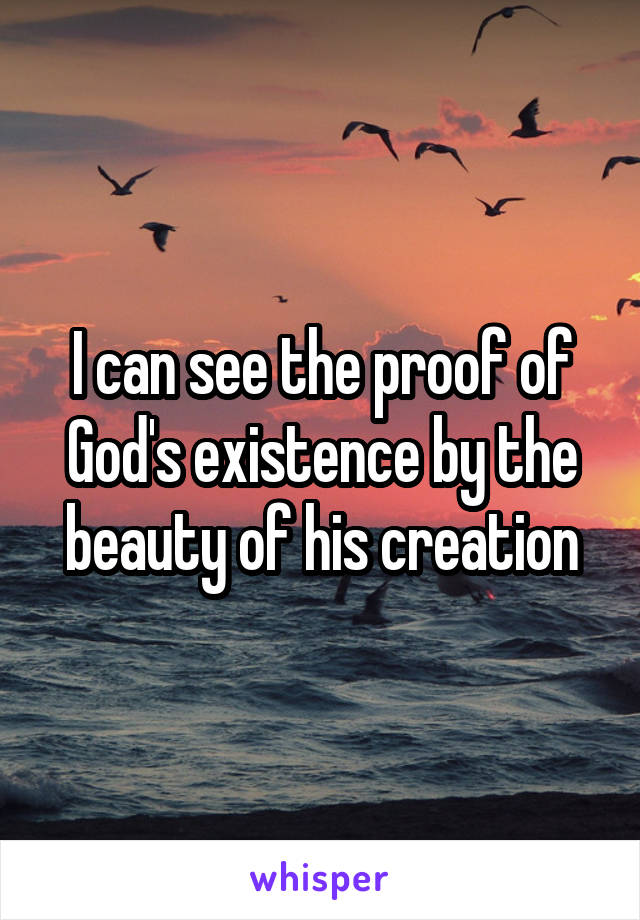 I can see the proof of God's existence by the beauty of his creation