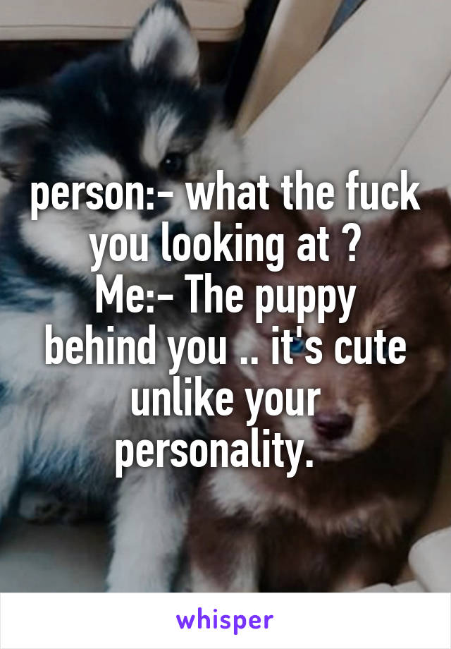 person:- what the fuck you looking at ?
Me:- The puppy behind you .. it's cute unlike your personality.  