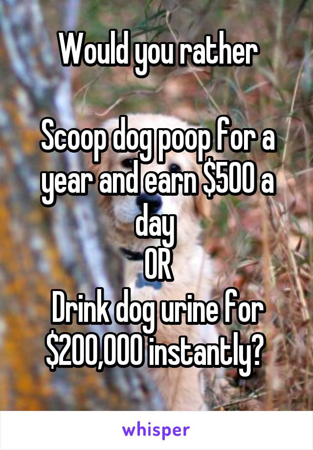 Would you rather

Scoop dog poop for a year and earn $500 a day 
OR
Drink dog urine for $200,000 instantly? 
