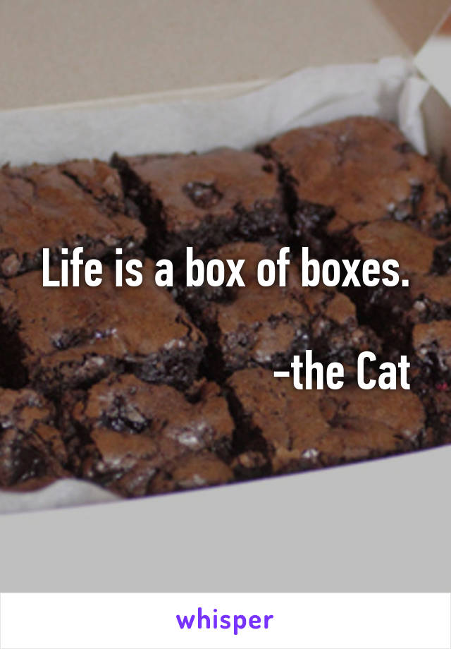 Life is a box of boxes.
           
                      -the Cat