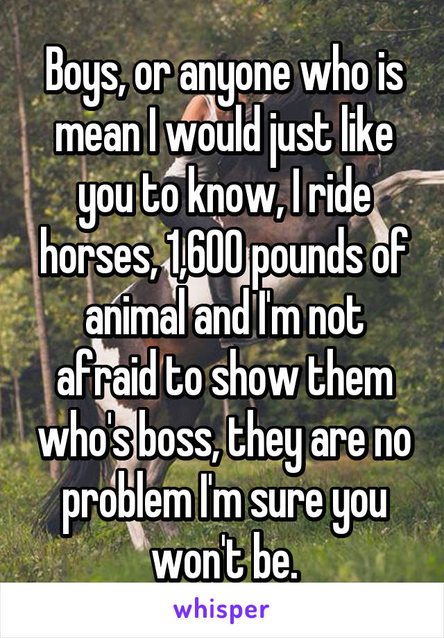 Boys, or anyone who is mean I would just like you to know, I ride horses, 1,600 pounds of animal and I'm not afraid to show them who's boss, they are no problem I'm sure you won't be.