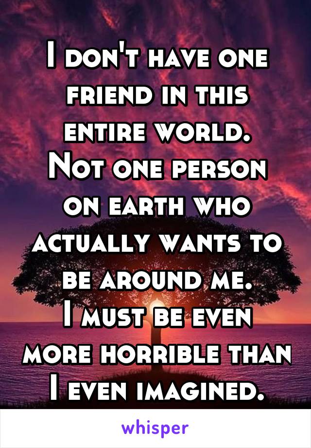 I don't have one friend in this entire world.
Not one person on earth who actually wants to be around me.
I must be even more horrible than I even imagined.