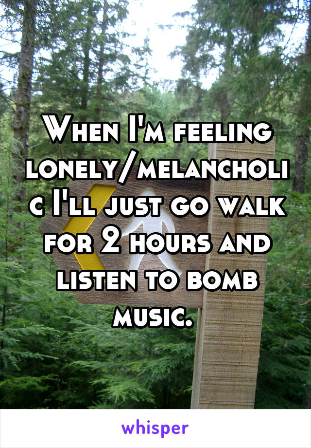 When I'm feeling lonely/melancholic I'll just go walk for 2 hours and listen to bomb music. 