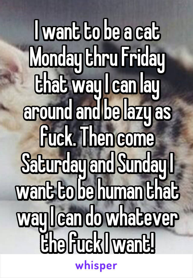 I want to be a cat Monday thru Friday that way I can lay around and be lazy as fuck. Then come Saturday and Sunday I want to be human that way I can do whatever the fuck I want!