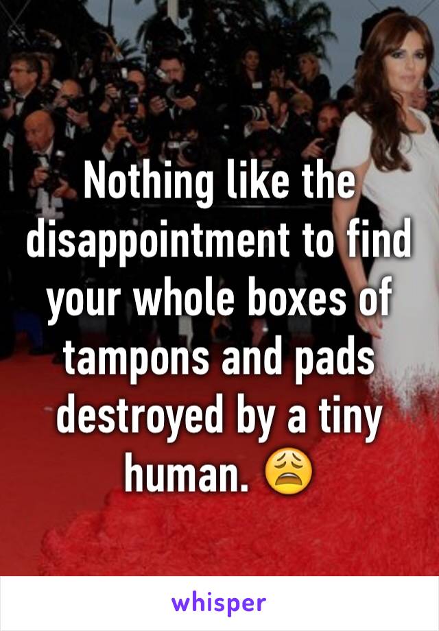 Nothing like the disappointment to find your whole boxes of tampons and pads destroyed by a tiny human. 😩