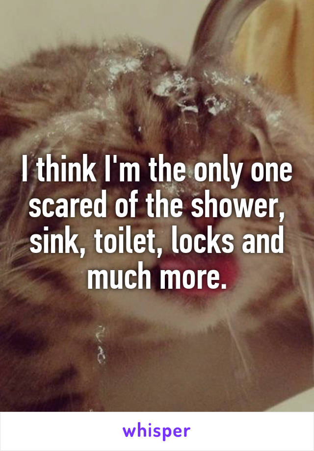 I think I'm the only one scared of the shower, sink, toilet, locks and much more.