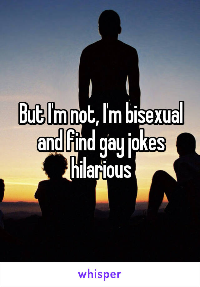 But I'm not, I'm bisexual and find gay jokes hilarious