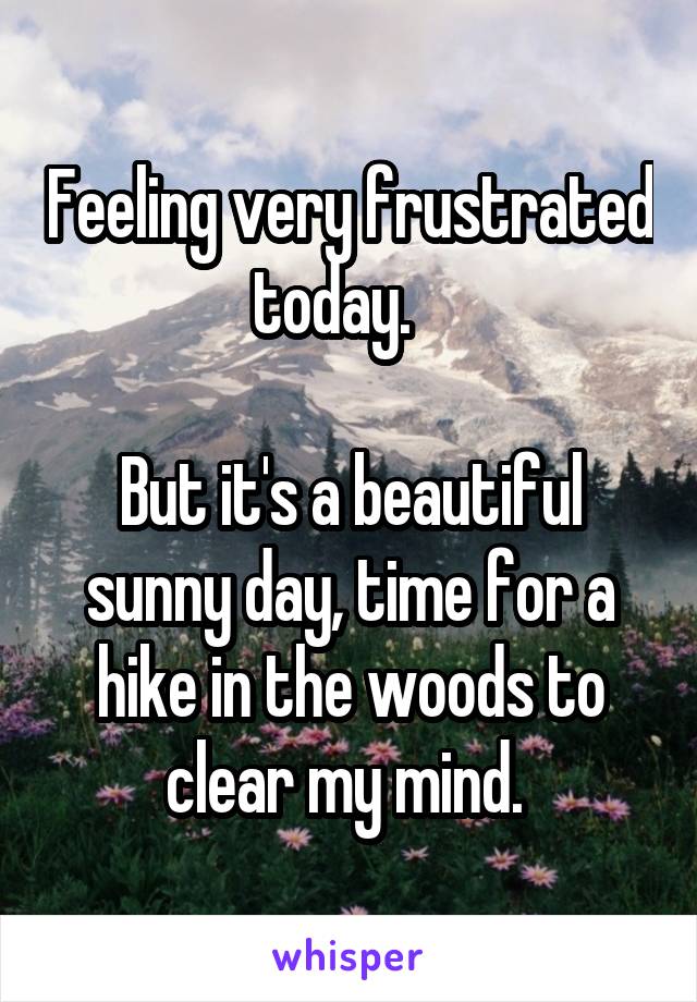 Feeling very frustrated today.   

But it's a beautiful sunny day, time for a hike in the woods to clear my mind. 