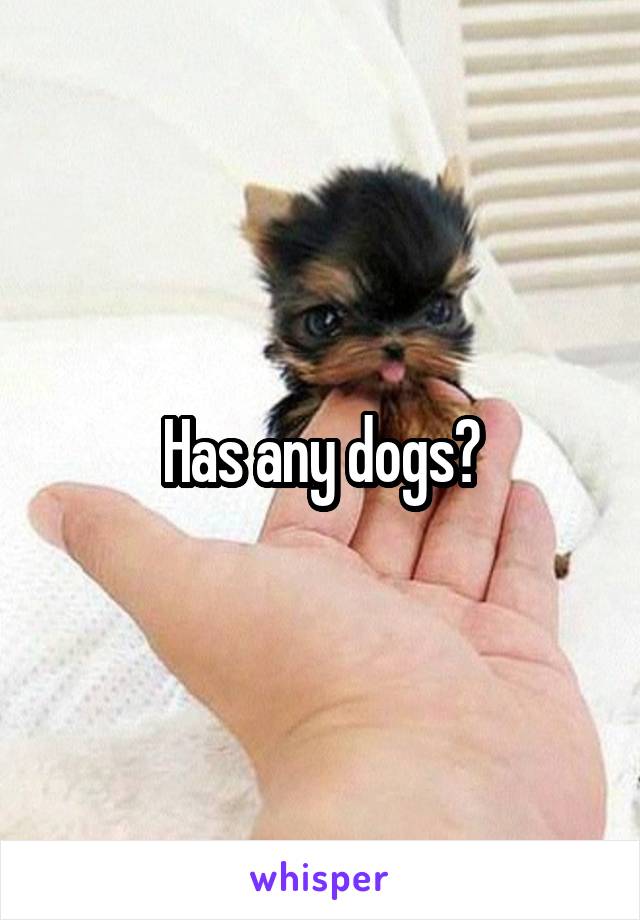 Has any dogs?