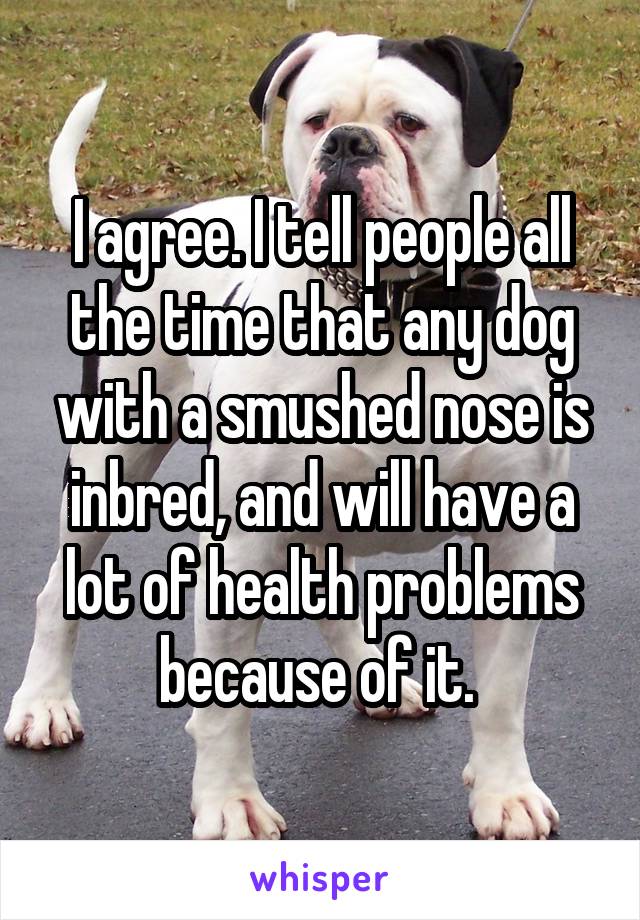 I agree. I tell people all the time that any dog with a smushed nose is inbred, and will have a lot of health problems because of it. 