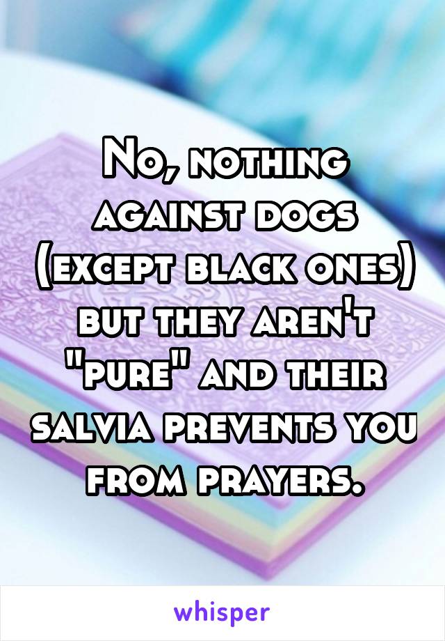 No, nothing against dogs (except black ones) but they aren't "pure" and their salvia prevents you from prayers.
