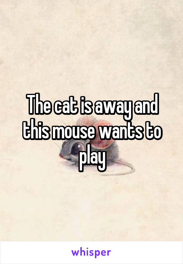 The cat is away and this mouse wants to play