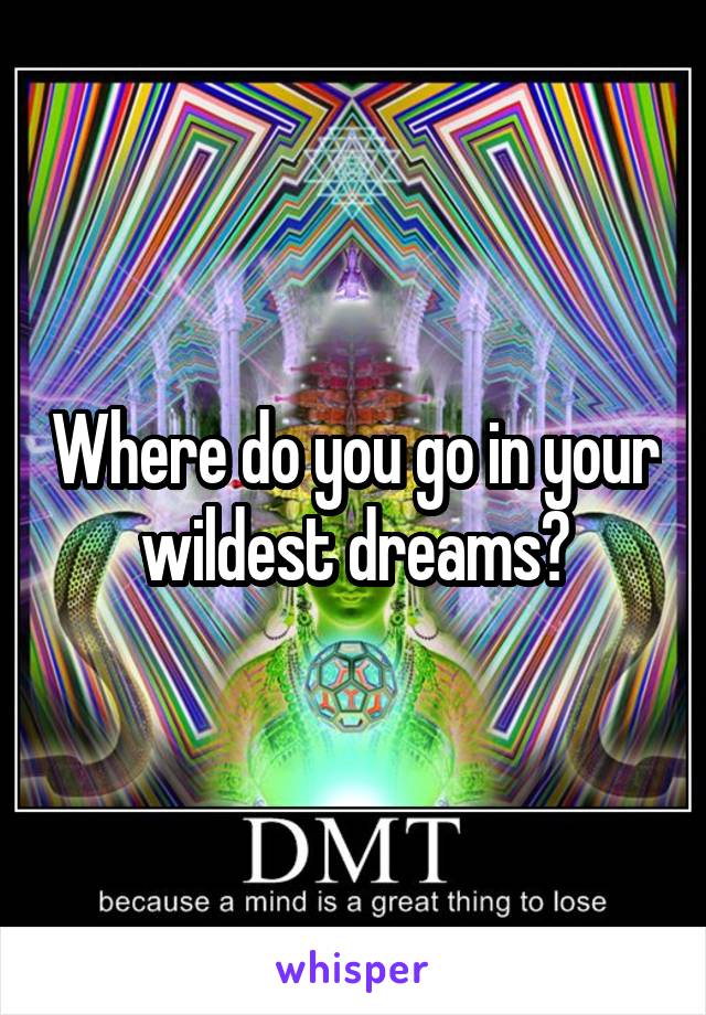 Where do you go in your wildest dreams?