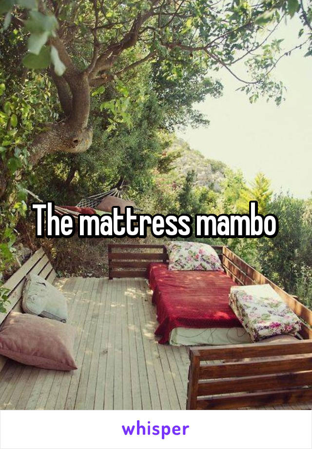 The mattress mambo 