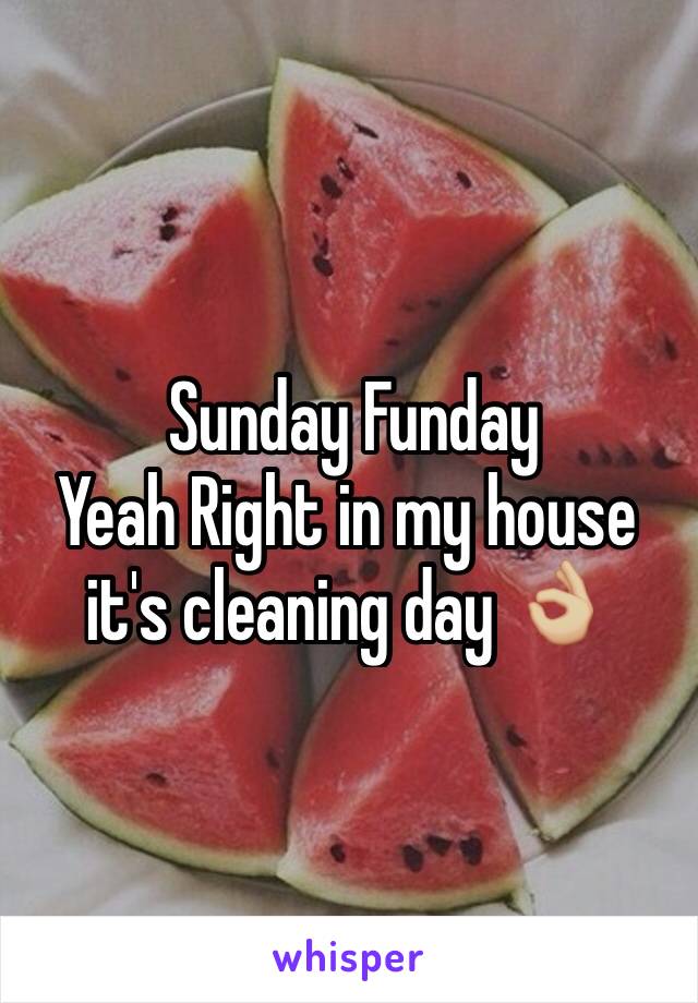  Sunday Funday 
Yeah Right in my house it's cleaning day 👌🏼