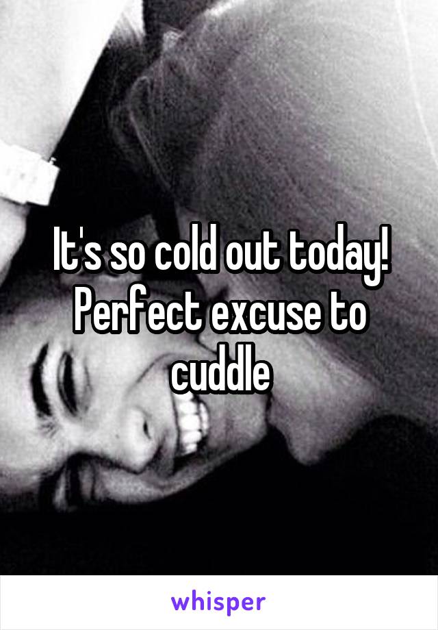 It's so cold out today! Perfect excuse to cuddle