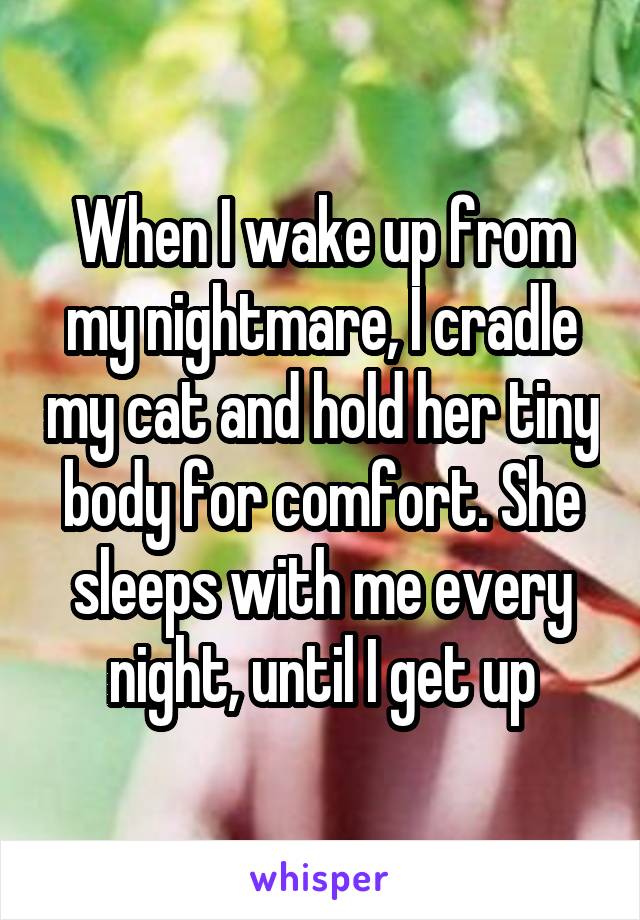 When I wake up from my nightmare, I cradle my cat and hold her tiny body for comfort. She sleeps with me every night, until I get up