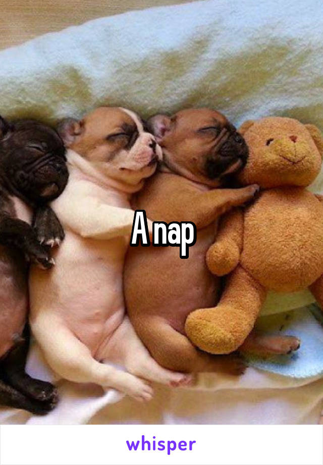 A nap