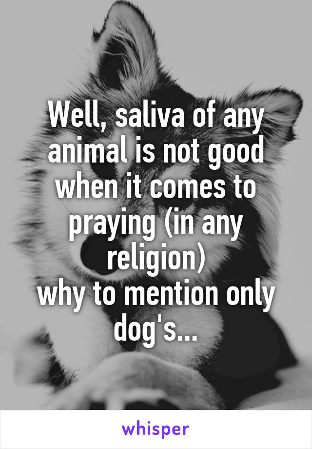 Well, saliva of any animal is not good when it comes to praying (in any religion)
why to mention only dog's...