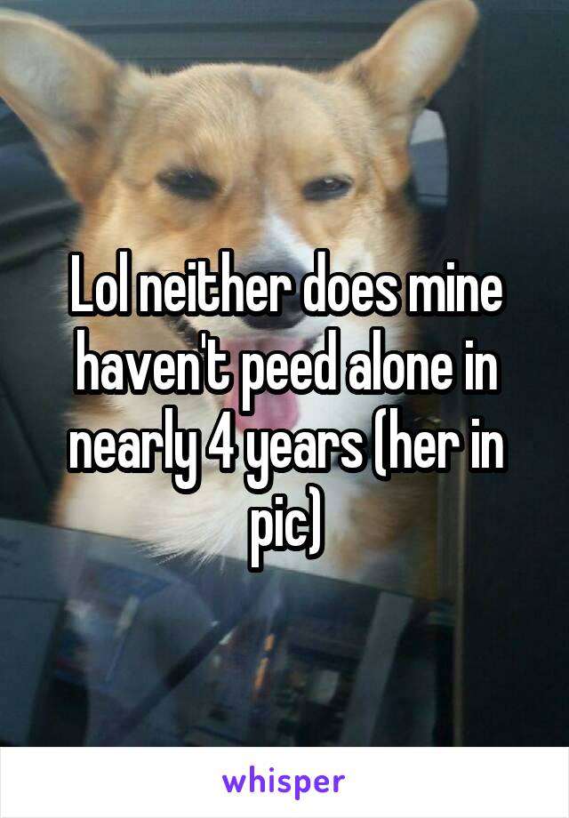 Lol neither does mine haven't peed alone in nearly 4 years (her in pic)