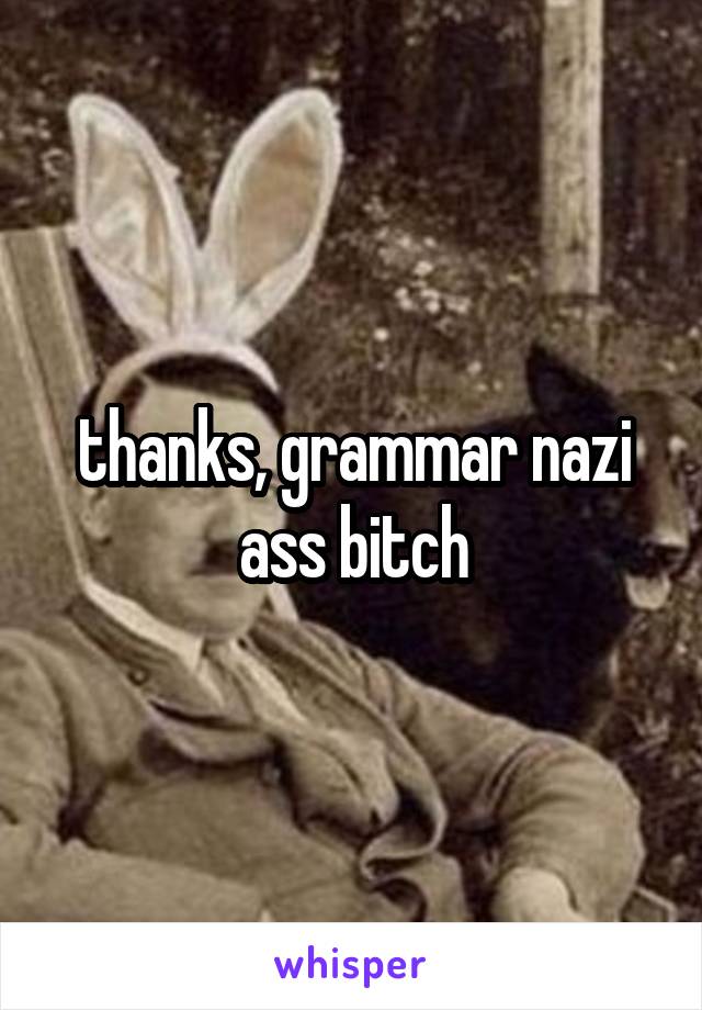 thanks, grammar nazi ass bitch