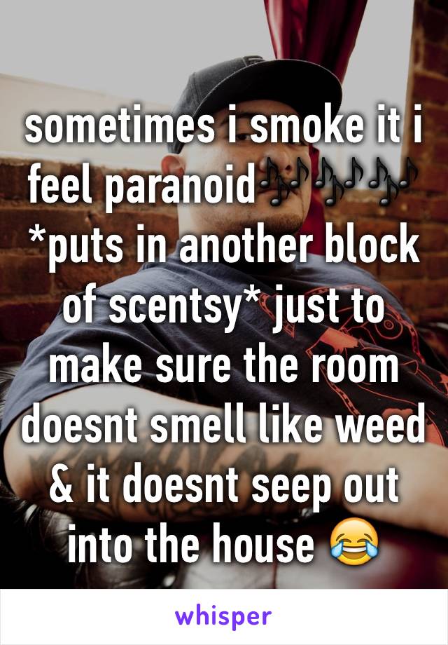 sometimes i smoke it i feel paranoid🎶🎶🎶 *puts in another block of scentsy* just to make sure the room doesnt smell like weed & it doesnt seep out into the house 😂