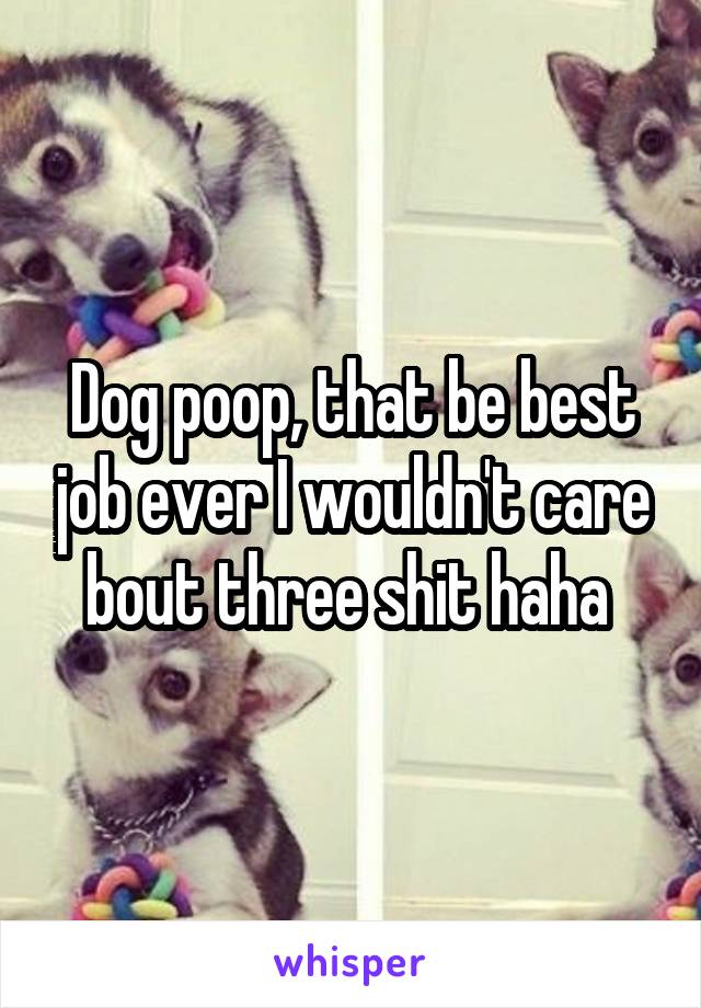 Dog poop, that be best job ever I wouldn't care bout three shit haha 