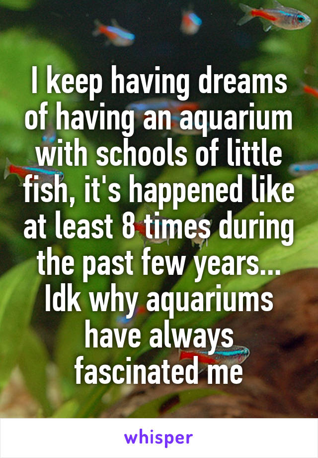 I keep having dreams of having an aquarium with schools of little fish, it's happened like at least 8 times during the past few years... Idk why aquariums have always fascinated me