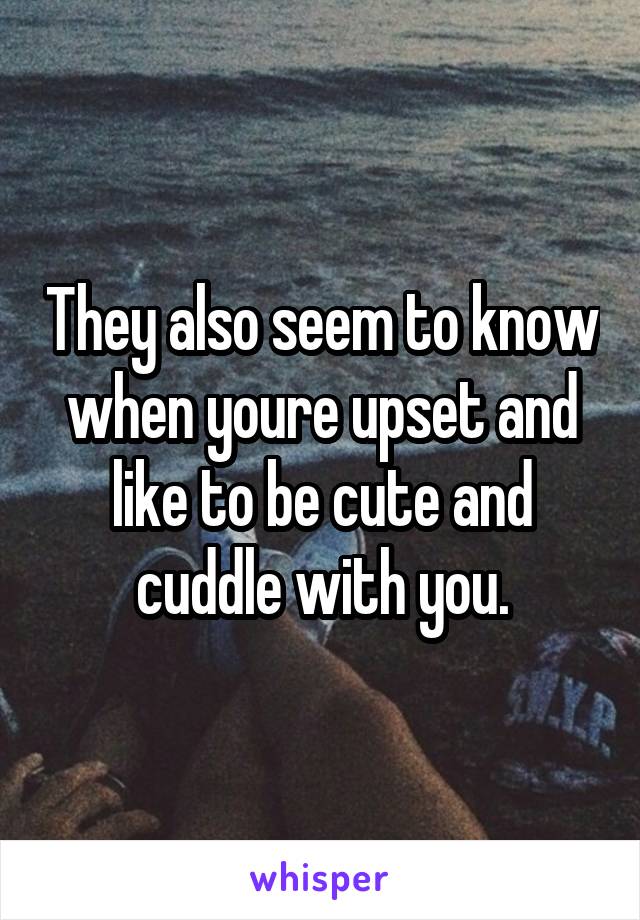 They also seem to know when youre upset and like to be cute and cuddle with you.