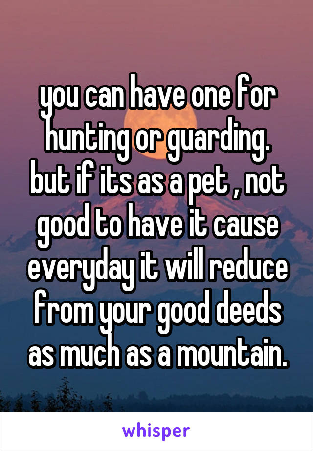 you can have one for hunting or guarding.
but if its as a pet , not good to have it cause everyday it will reduce from your good deeds as much as a mountain.