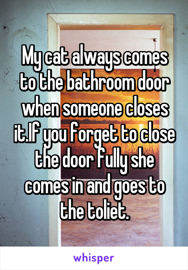 My cat always comes to the bathroom door when someone closes it.If you forget to close the door fully she comes in and goes to the toliet.
